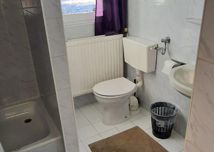 فندق مبيت وإفطار Pod Jelencem I Dom Z Widokiem Na Sniezke Blisko Wang 3*