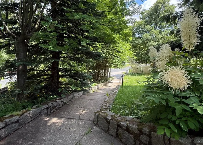 Pod Jelencem Willa I Dom Z Widokiem Na Sniezke Blisko Wang Bed & Breakfast